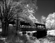 7-10-16 WinkLiz IR   3.2BW.jpg
