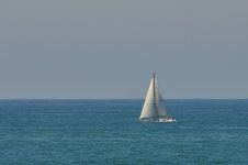 ROY_3027.JPG