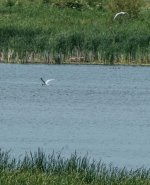 DSC_8182.jpg