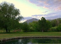 Trout Farm Scene #2 7-9-2016.jpg
