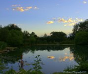 Cloud Reflections in a Pond 7-9-2016.jpg