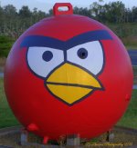 Red Angry Bird 7-10-2016.jpg