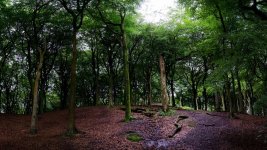 July 05, 2016-0007-2-Pano.jpg