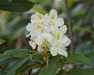 _AAA8679 - Version 2.jpg