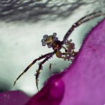 DSC_4504.jpg
