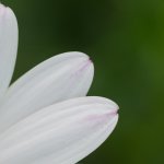 DSC_4512.jpg