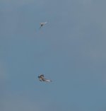 DSC_6198.jpg