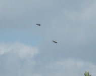 DSC_6200.jpg