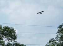 DSC_6649.jpg