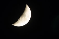 DSC_8951.jpg