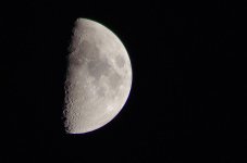 DSC_8980.jpg