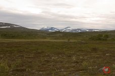 219648d1468419921-400-asa-not-akr_3012heldal-WB Target.jpg