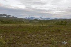 219648d1468419921-400-asa-not-akr_3012heldal-Corrected.jpg
