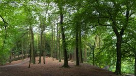 July 12, 2016-0076-Pano.jpg