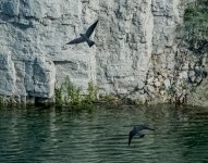 DSC_8045.jpg