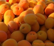 Farmers Market Apricot's 7-13-2016.jpg