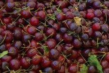 Farmers Market Cherries  #2 7-13-2016.jpg