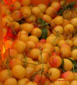 Farmers Market Cherries 7-13-2016.jpg