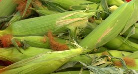 Farmers Market Corn 7-13-2016.jpg