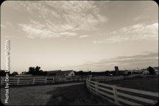 untitled-0603.jpg