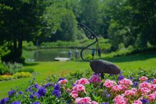 DSC_4656 - copie.jpg