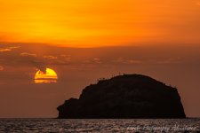 DSC_5946.jpg
