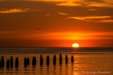 DSC_6589.jpg