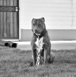 DSC_0097 nxd bw2.jpg