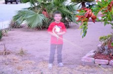 ROY_3587.JPG