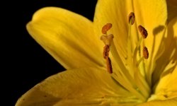 DSC_2144 -1.jpg