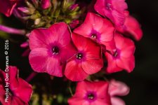 20160716-0804.jpg