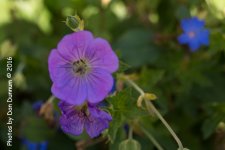 20160716-0813.jpg