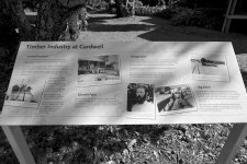 DSC_8976 (1).jpg