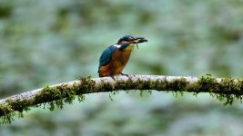 DSC_0404.jpg