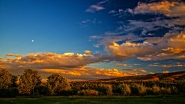 _DSC2730-Edit.jpg