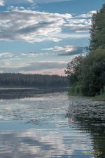 IVA_0248.jpg