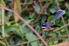 DSC_3504.jpg