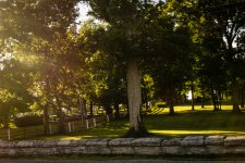20160717-0847.jpg