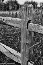 Fence-Post(BW).jpg