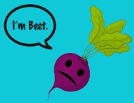 pun1.jpg