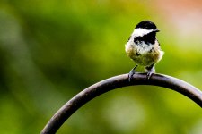 20160718-0915.jpg
