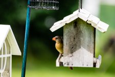 20160718-0946.jpg