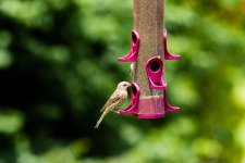 20160718-0941.jpg