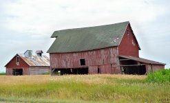 DSC_0371 nxd.jpg
