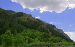 Big Foot Territory #2  7-18-2016.jpg