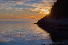 DSC_4771oil.jpg