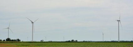 DSC_0378 nxd.jpg