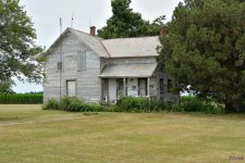 DSC_0383 nxd.jpg