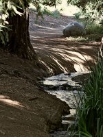 Creek.jpg