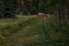DSC_4764.jpg